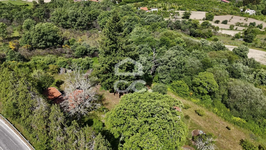 Quinta T3 para Venda em Aguas Frias Foto 54