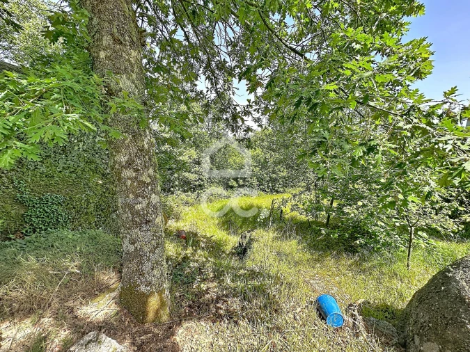 Quinta T3 para Venda em Aguas Frias Foto 40