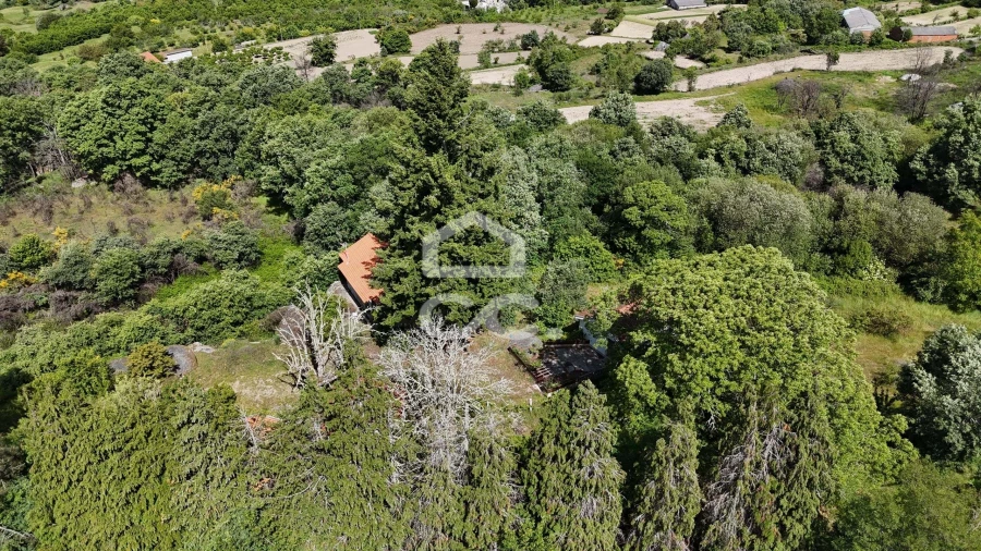 Quinta T3 para Venda em Aguas Frias Foto 55