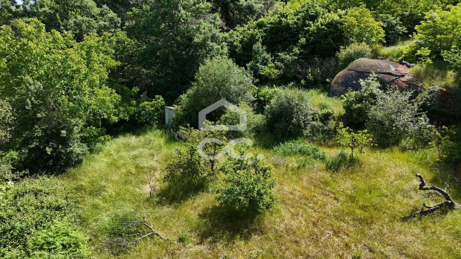 Quinta T3 para Venda em Aguas Frias Foto 72