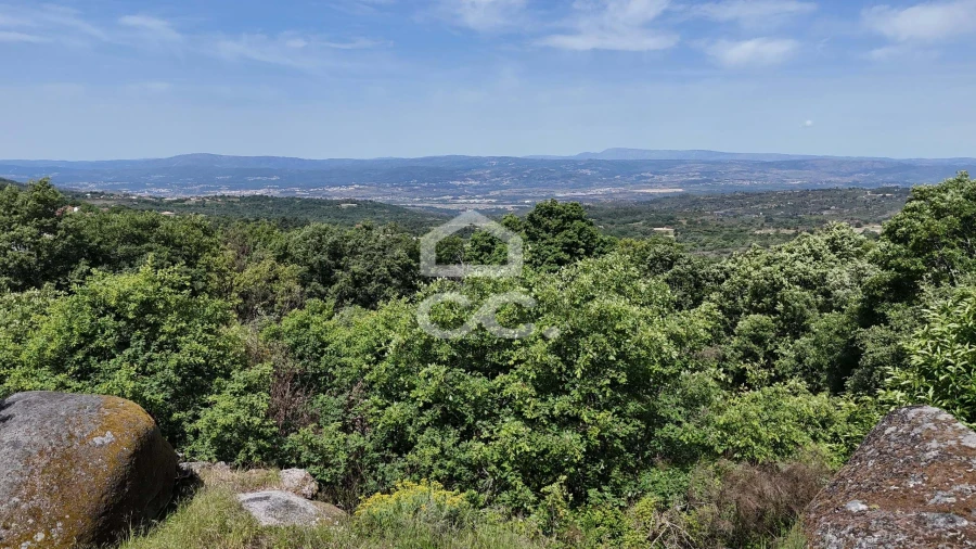 Quinta T3 para Venda em Aguas Frias Foto 70