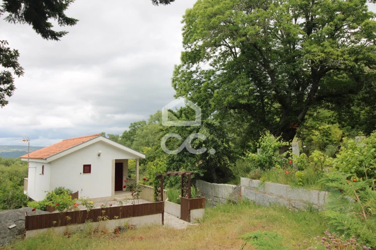 Quinta T3 para Venda em Aguas Frias Foto 16