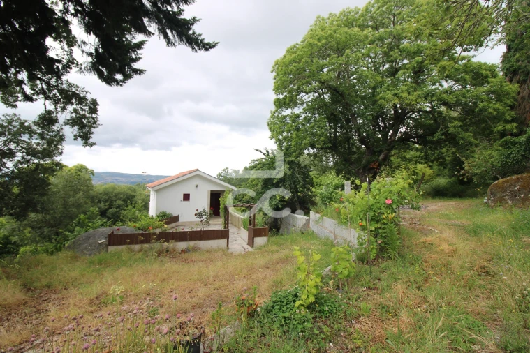 Quinta T3 para Venda em Aguas Frias Foto 5