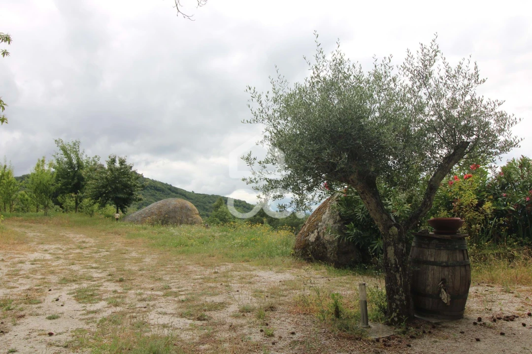 Quinta T3 para Venda em Aguas Frias Foto 15