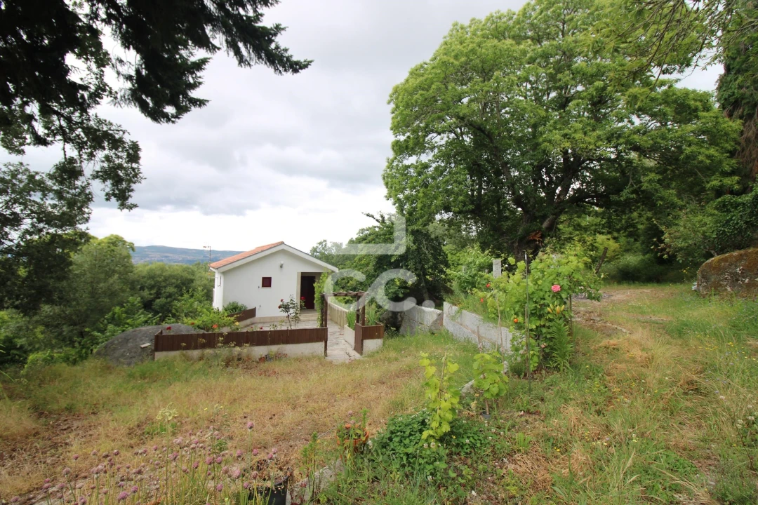 Quinta T3 para Venda em Aguas Frias Foto 5