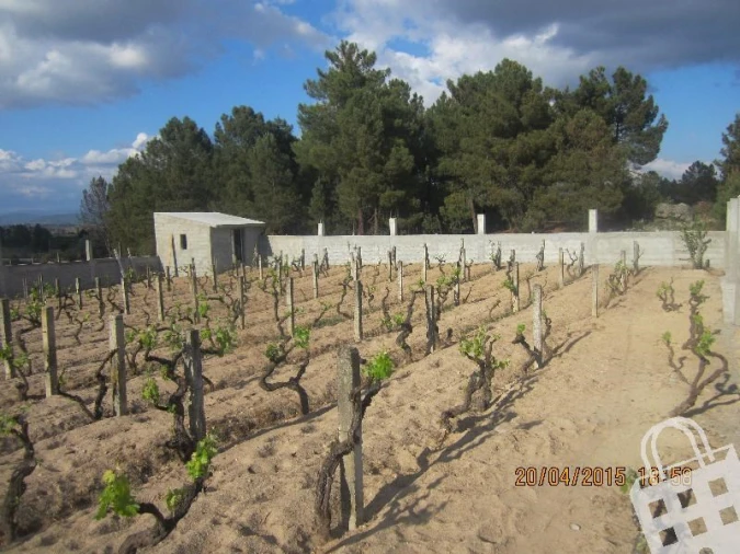 Terreno para Venda em Outeiro Seco Foto 1