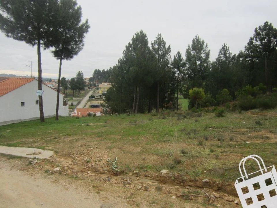 Terreno para Venda em São Pedro de Agostem Foto 2
