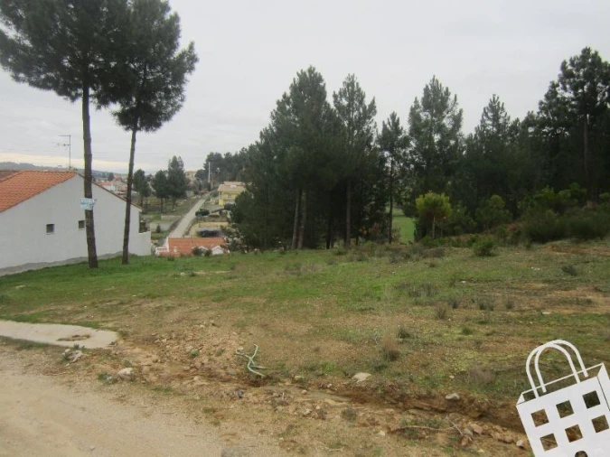 Terreno para Venda em São Pedro de Agostem Foto 2