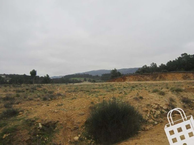 Terreno para Venda em São Pedro de Agostem