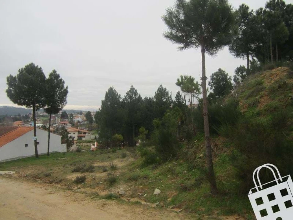 Terreno para Venda em São Pedro de Agostem Foto 4