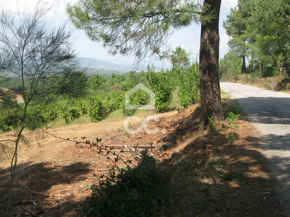 Terreno para Venda em São Pedro de Agostem Foto 4