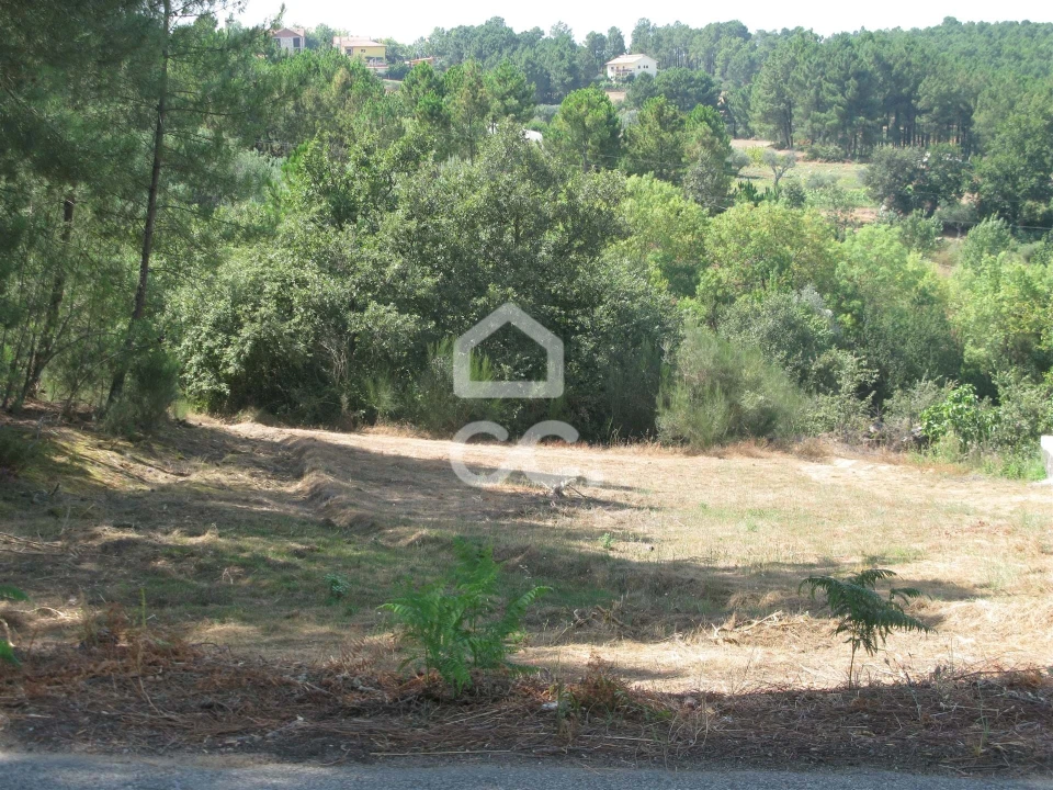 Terreno para Venda em São Pedro de Agostem Foto 8