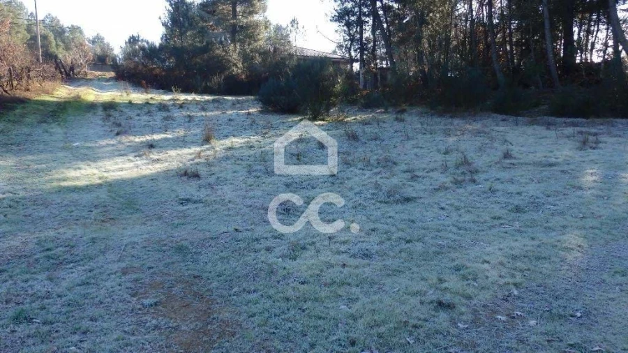 Terreno para Venda em São Pedro de Agostem Foto 6