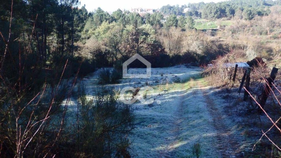 Terreno para Venda em São Pedro de Agostem Foto 7