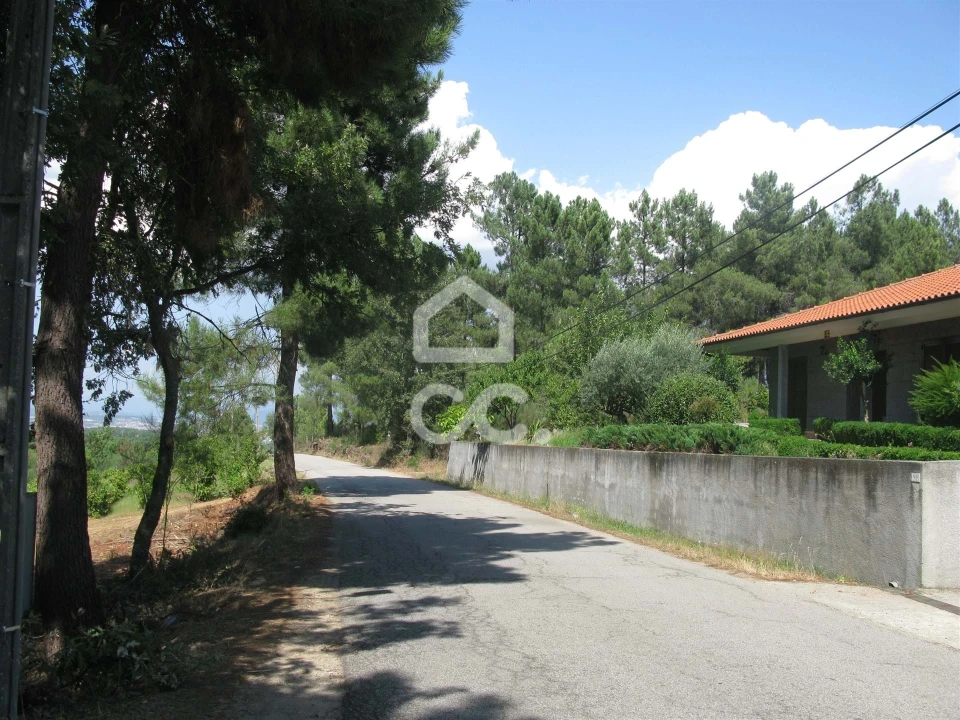 Terreno para Venda em São Pedro de Agostem Foto 2