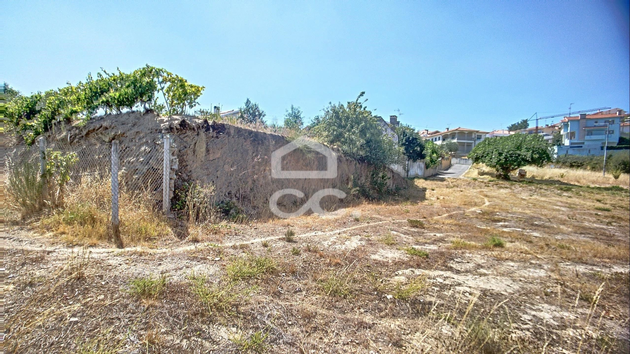 Terreno para Venda em Santa Maria Maior Foto 19