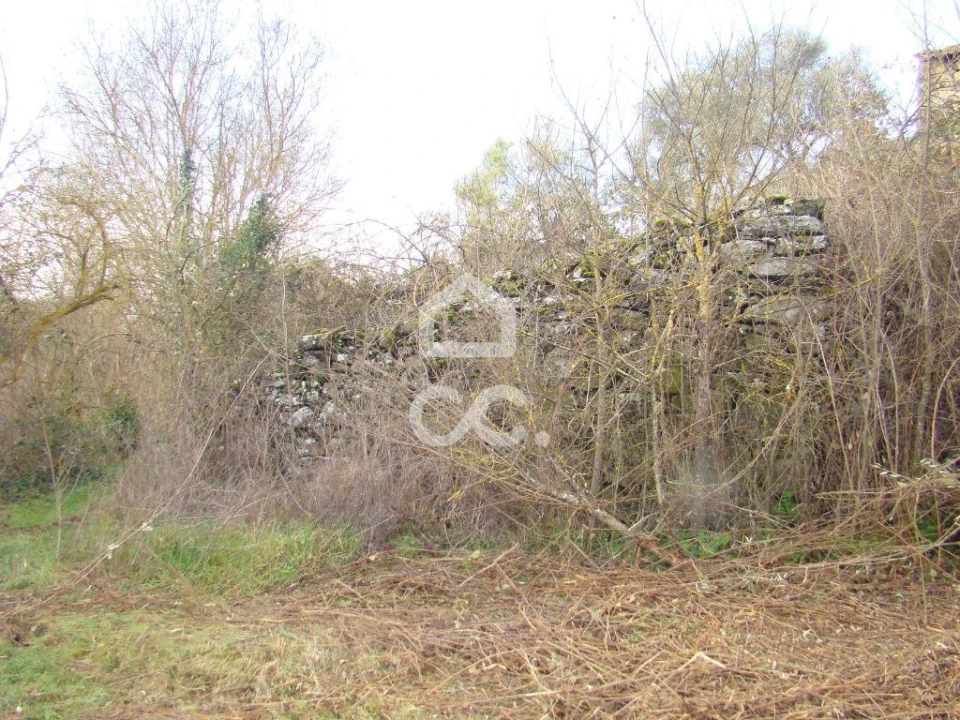 Terreno para Venda em Madalena e Samaiões Foto 2