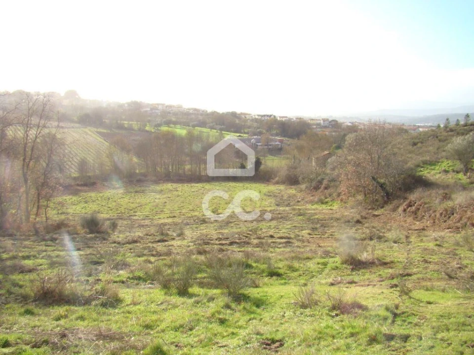 Terreno para Venda em Madalena e Samaiões Foto 1