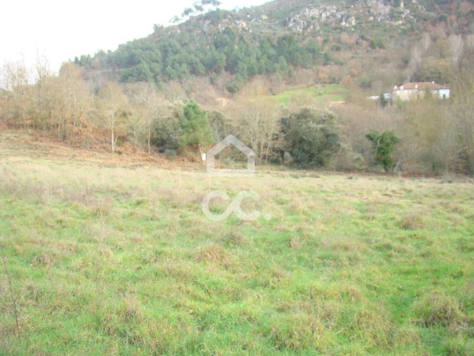 Terreno para Venda em Madalena e Samaiões Foto 3
