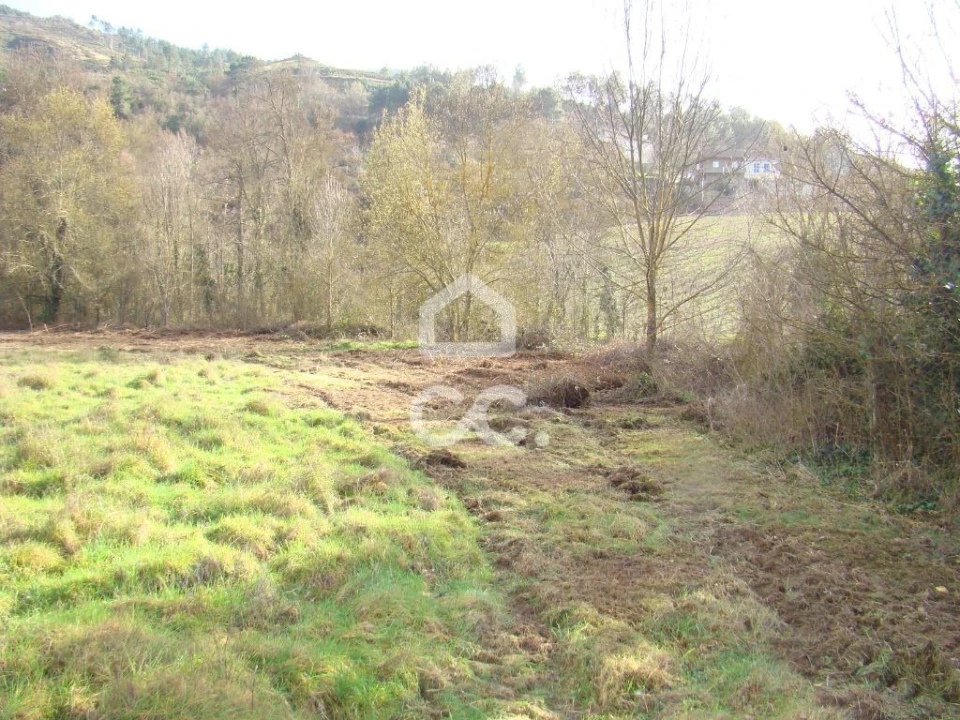 Terreno para Venda em Madalena e Samaiões Foto 5
