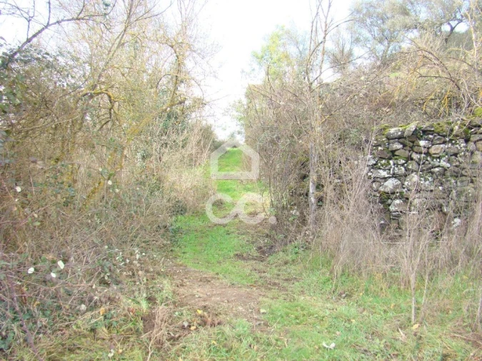 Terreno para Venda em Madalena e Samaiões Foto 4