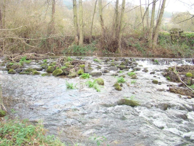 Terreno para Venda em Madalena e Samaiões Foto 6