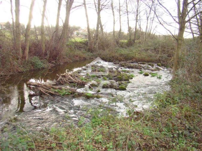 Terreno para Venda em Madalena e Samaiões Foto 7