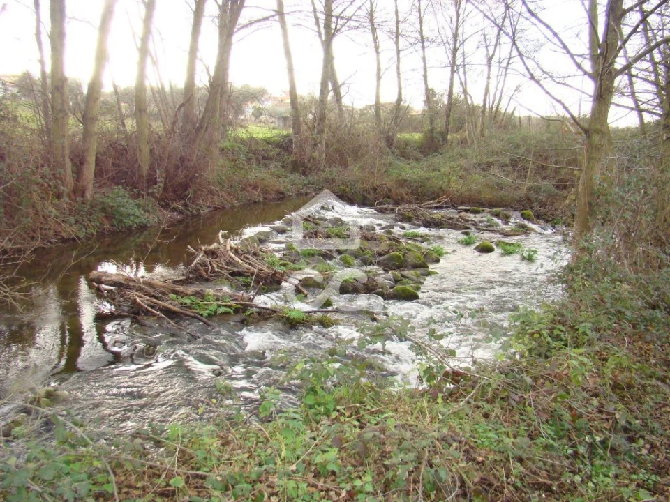 Terreno para Venda em Madalena e Samaiões Foto 7