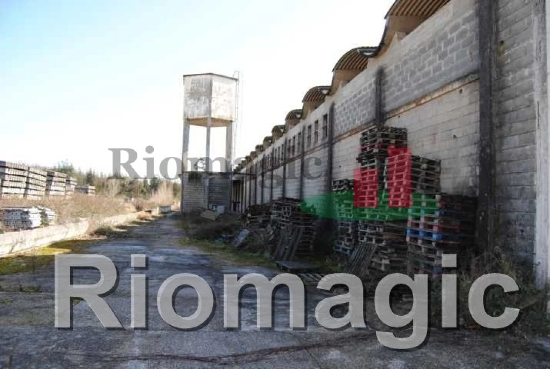 Negócio para Venda em Rio Maior Foto 10