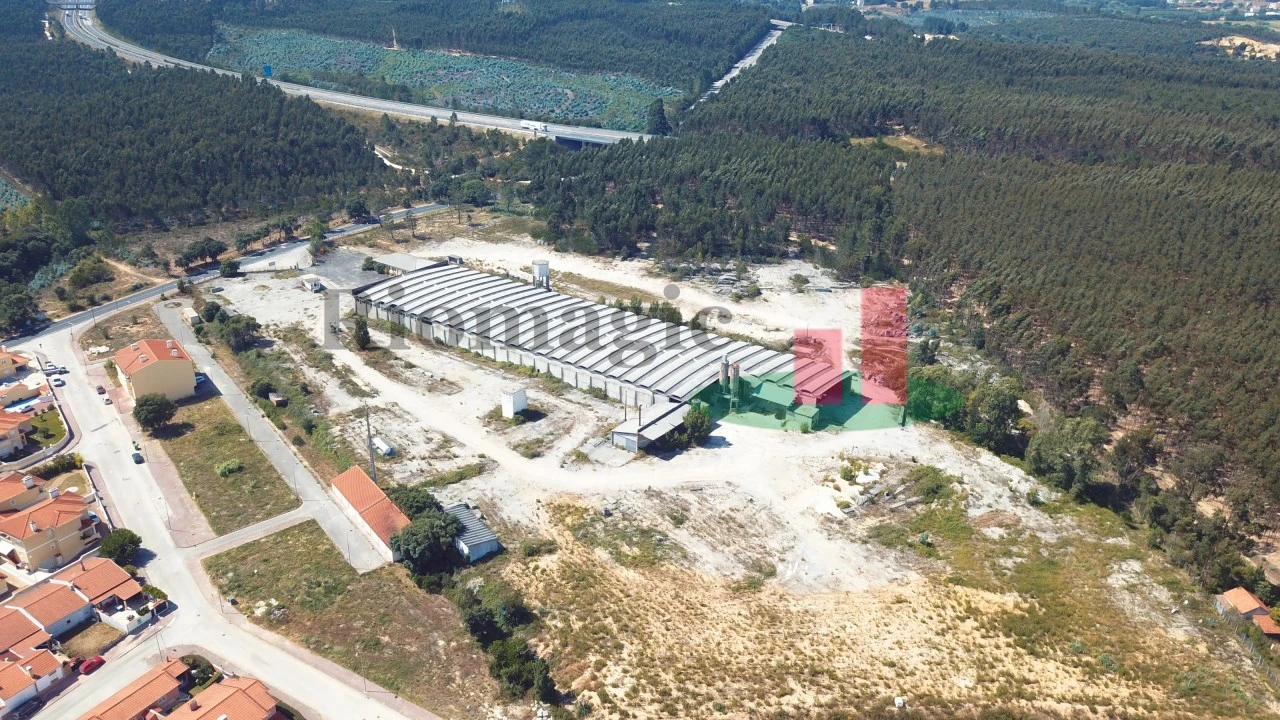 Negócio para Venda em Rio Maior Foto 5