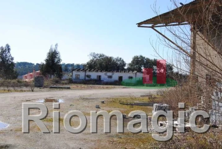 Negócio para Venda em Rio Maior Foto 17