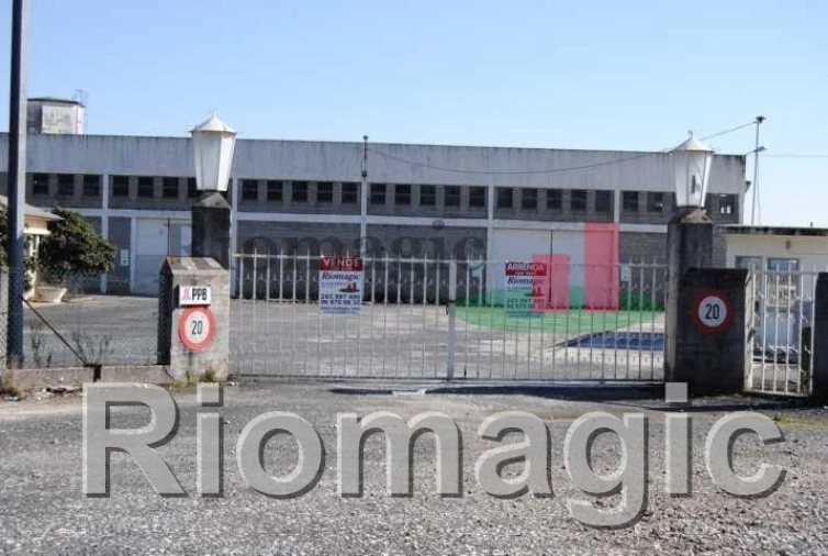 Negócio para Venda em Rio Maior Foto 4