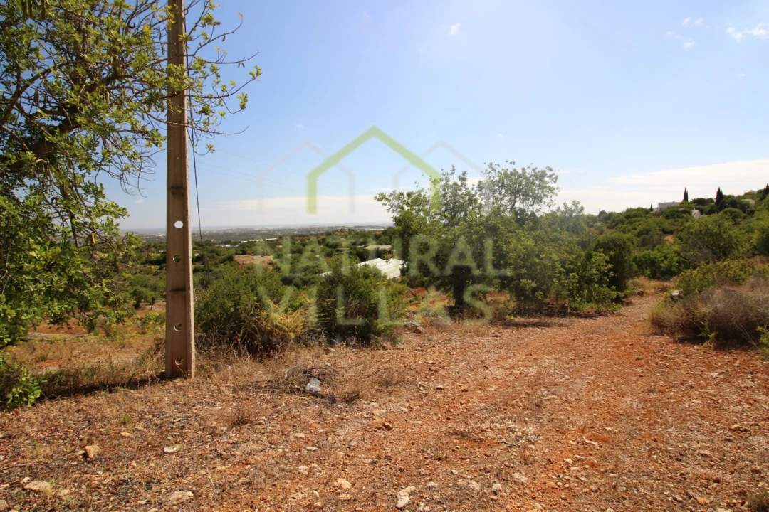 Terreno Misto para Venda em Conceição e Estoi Foto 6
