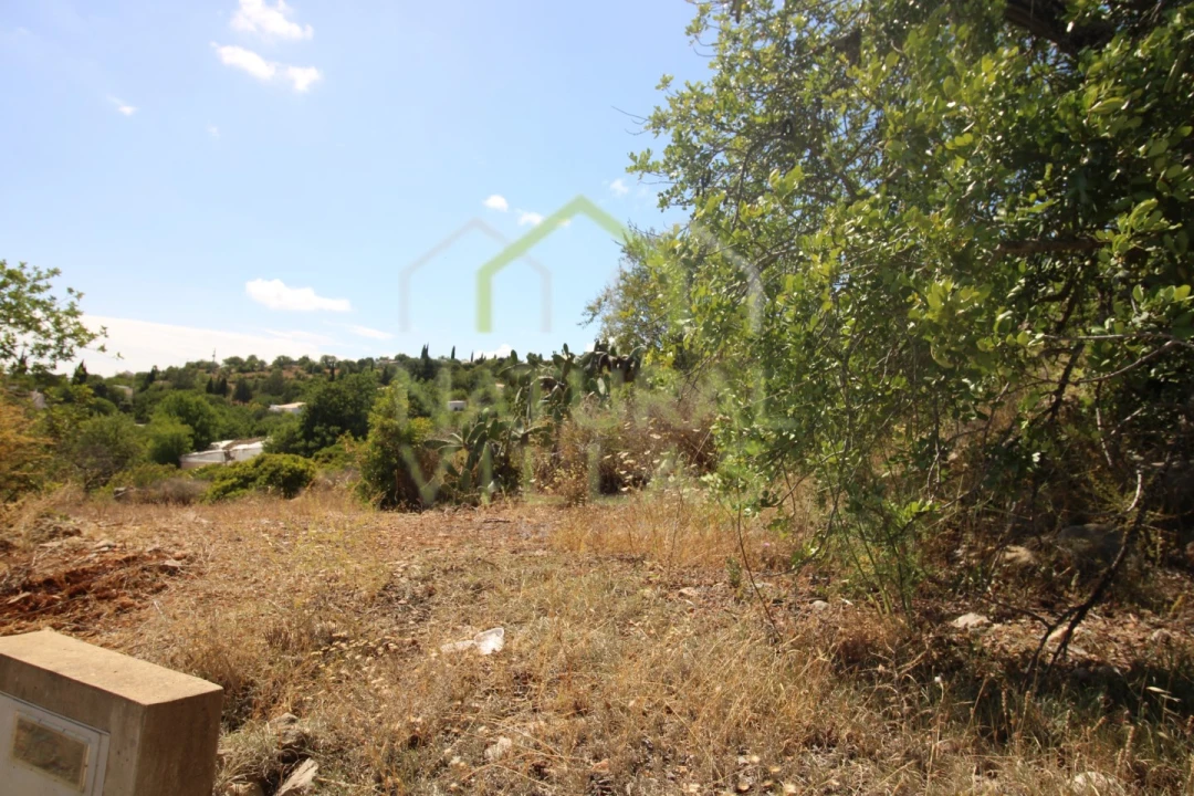 Terreno Misto para Venda em Conceição e Estoi Foto 8