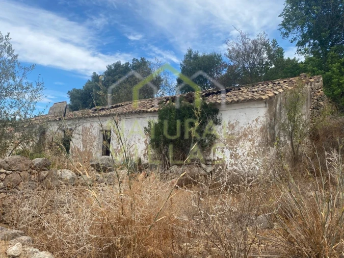 Terreno Misto para Venda em Conceição e Estoi Foto 1