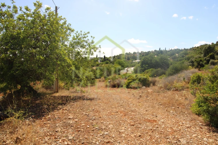 Terreno Misto para Venda em Conceição e Estoi Foto 7