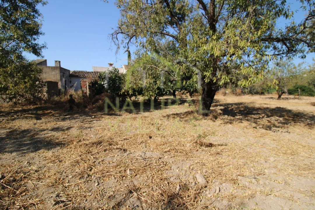 Terreno Misto para Venda em Conceição e Estoi Foto 4