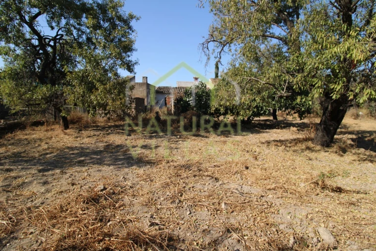 Terreno Misto para Venda em Conceição e Estoi Foto 3