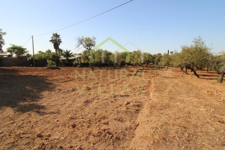 Terreno Misto para Venda em Conceição e Estoi Foto 2