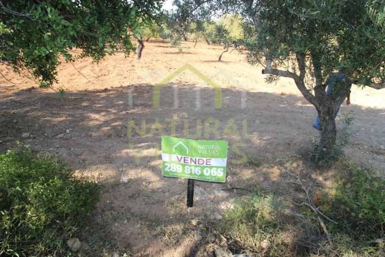 Terreno Misto para Venda em Conceição e Estoi Foto 9