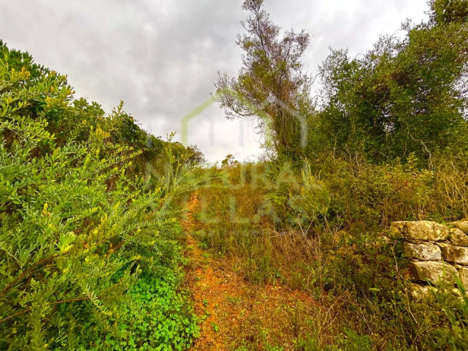 Terreno Agricola ou Rústico para Venda em Conceição e Estoi Foto 3