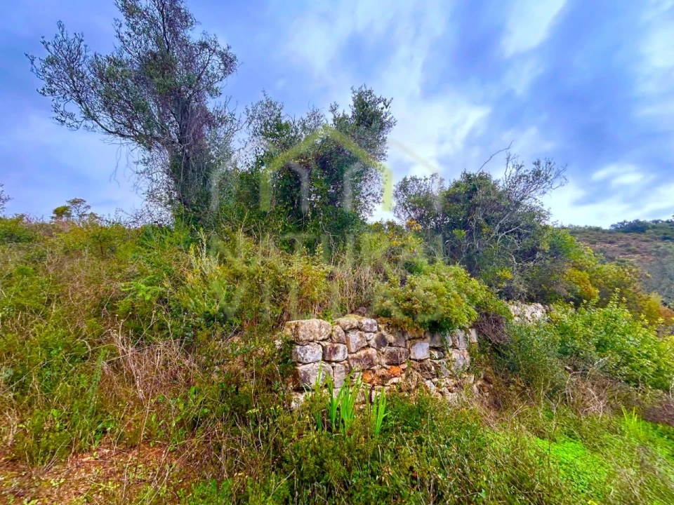Terreno Agricola ou Rústico para Venda em Conceição e Estoi Foto 4