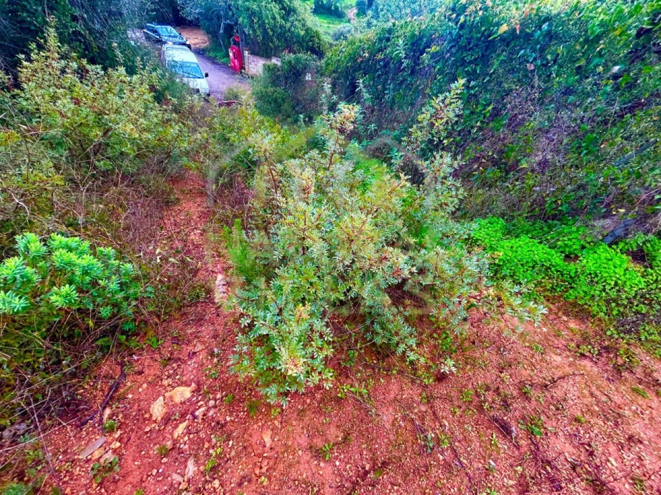 Terreno Agricola ou Rústico para Venda em Conceição e Estoi Foto 6