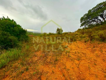 Terreno Agricola ou Rústico para Venda em Conceição e Estoi