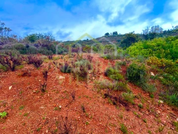 Terreno Agricola ou Rústico para Venda em Conceição e Estoi