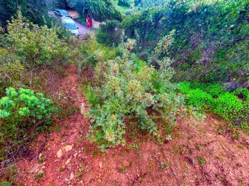 Terreno Agricola ou Rústico para Venda em Conceição e Estoi