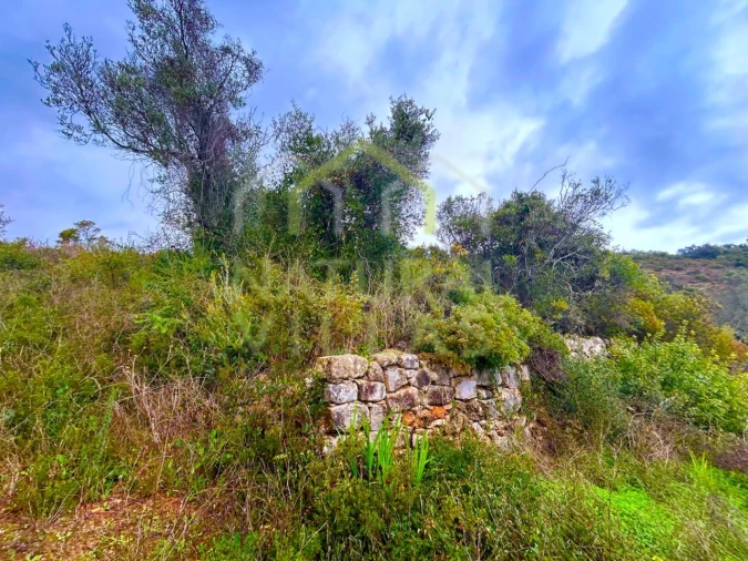 Terreno Agricola ou Rústico para Venda em Conceição e Estoi Foto 4