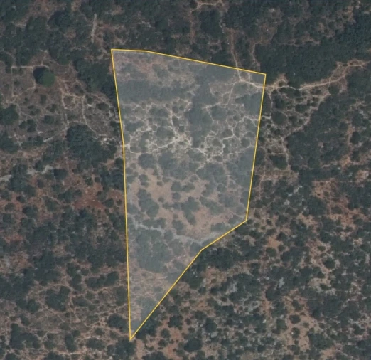 Terreno Agricola ou Rústico para Venda em Santa Barbara de Nexe Planta 1