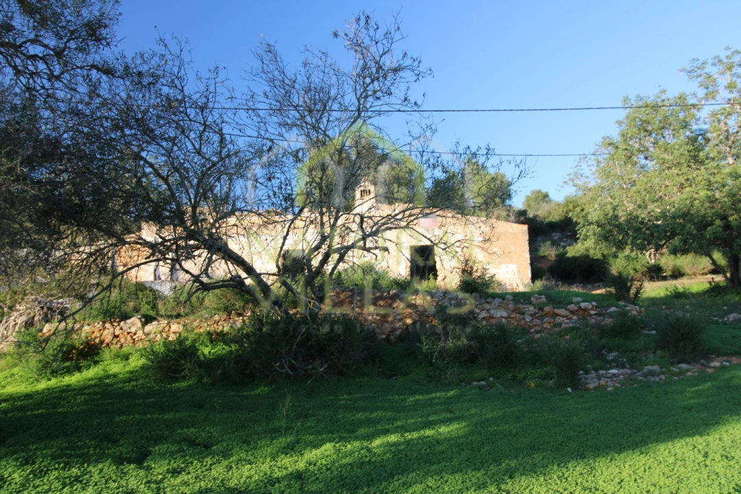 Terreno Misto para Venda em Pechão Foto 2