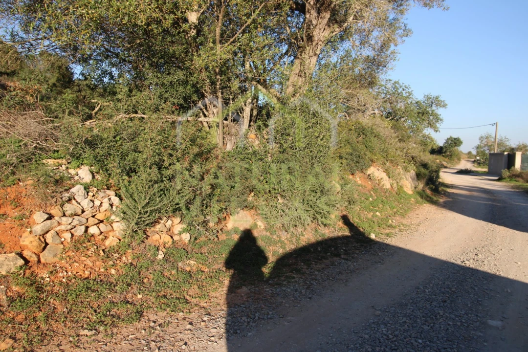 Terreno Misto para Venda em Pechão Foto 6